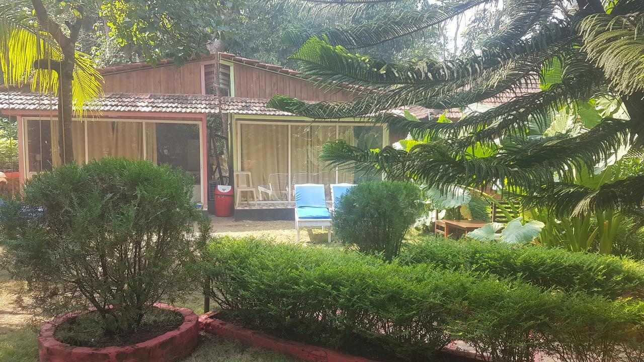 Hostel Curlies Zulu Land Anjuna Exterior foto