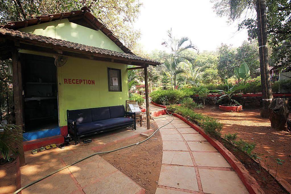 Hostel Curlies Zulu Land Anjuna Exterior foto